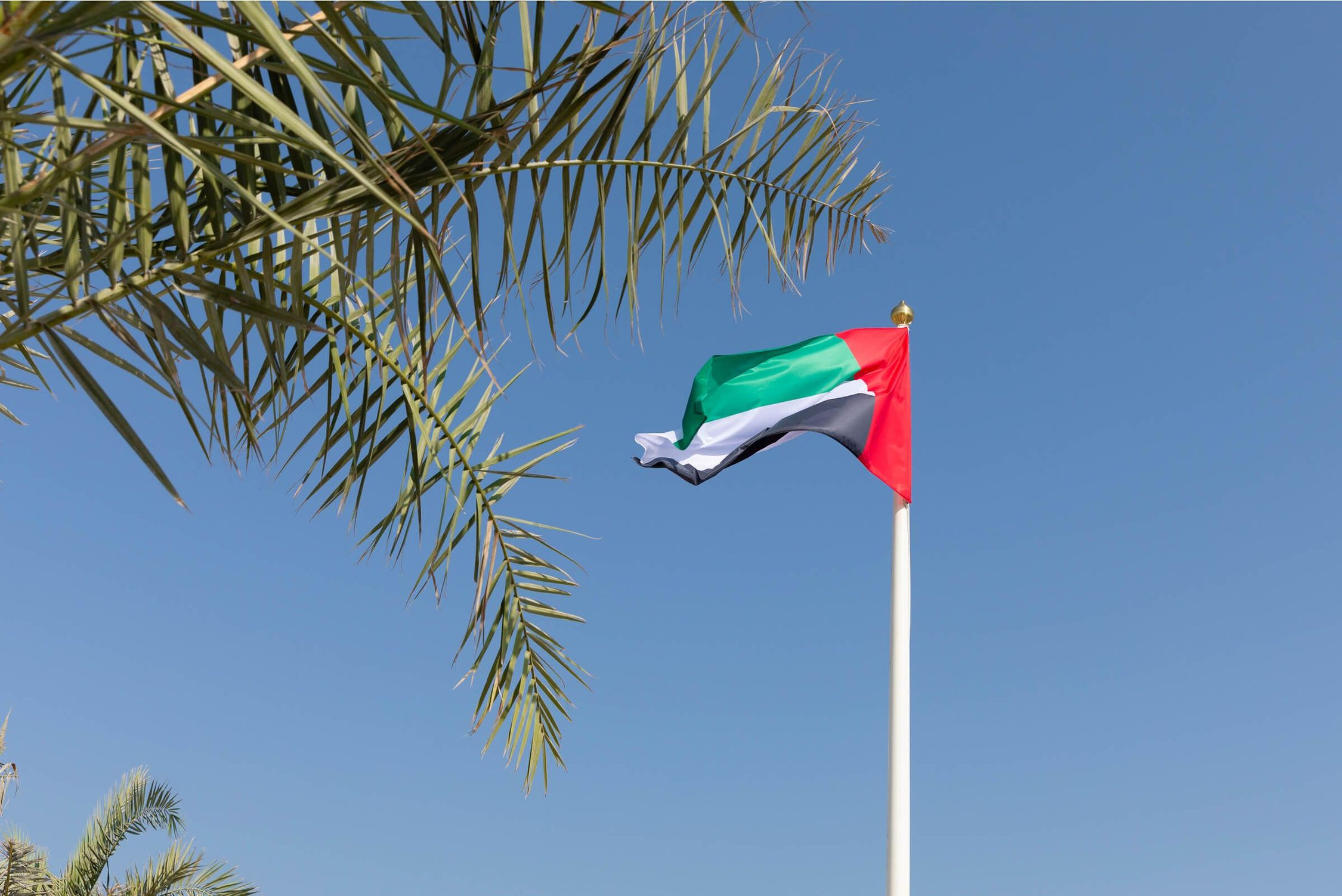 UAEを知る