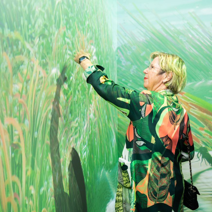 Seagrass Meadow