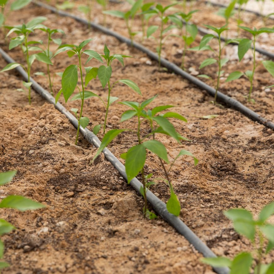 Sustainable water resource management