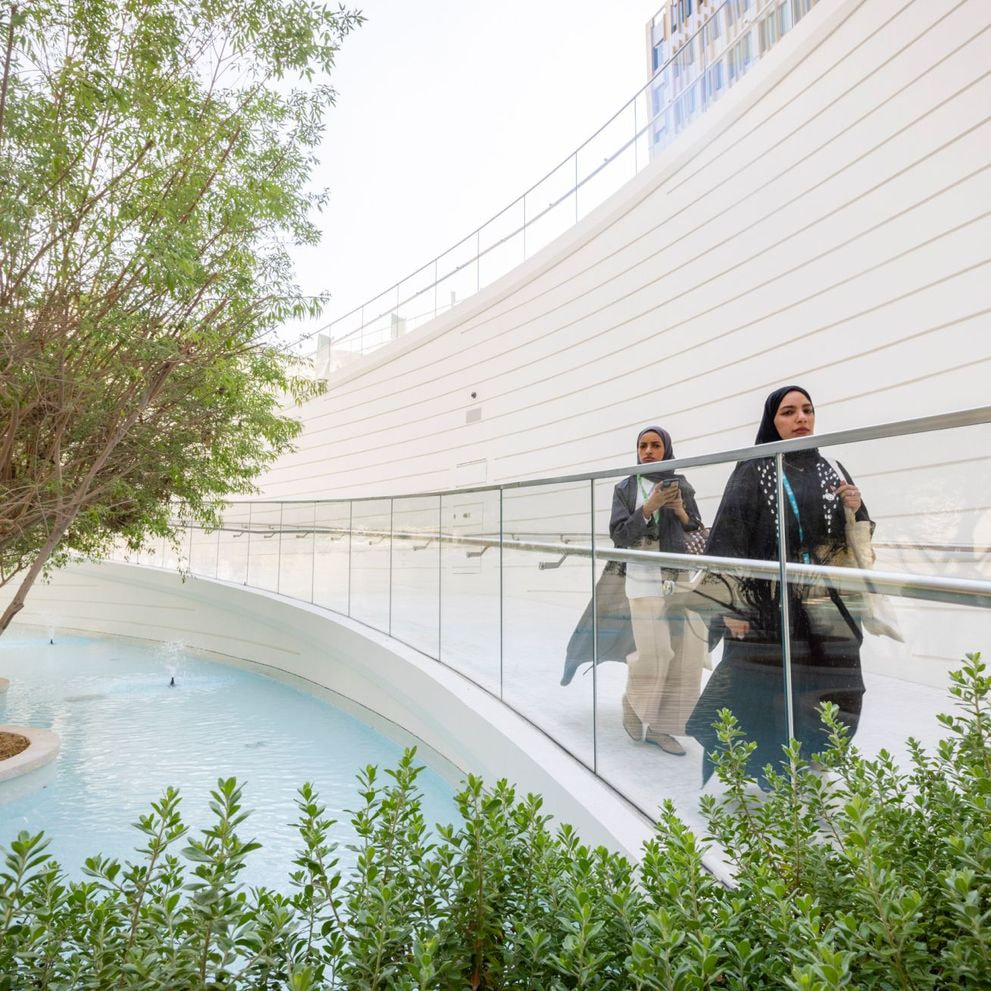 The Falaj & Oasis